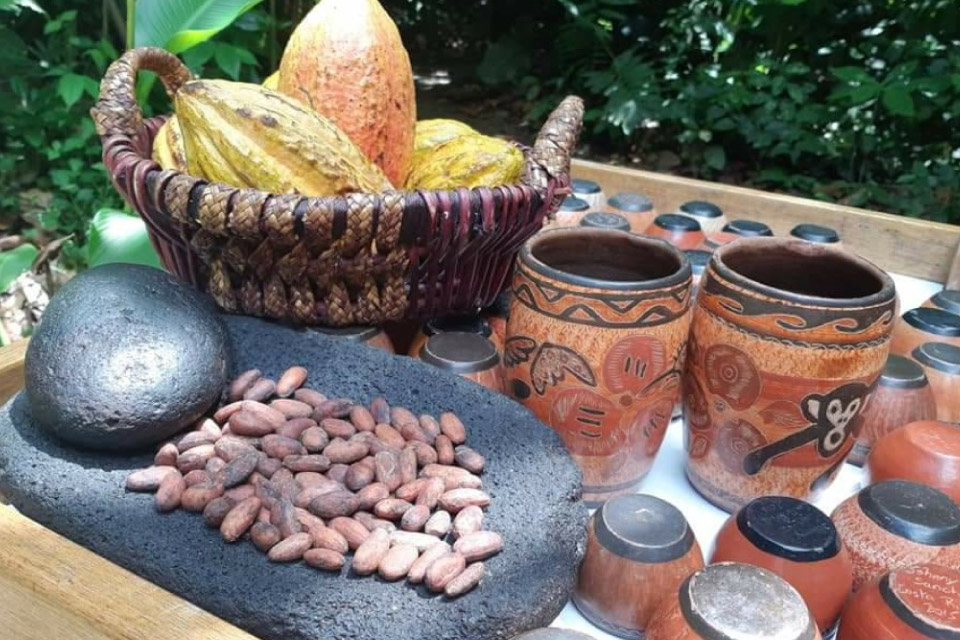 Sloth Tour & Chocolate – Wonders Costa Rica